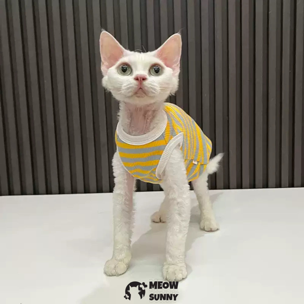 Sphynx Cat Clothes, Breathable Hairless Cat Yellow Shirts XXL 14lbs