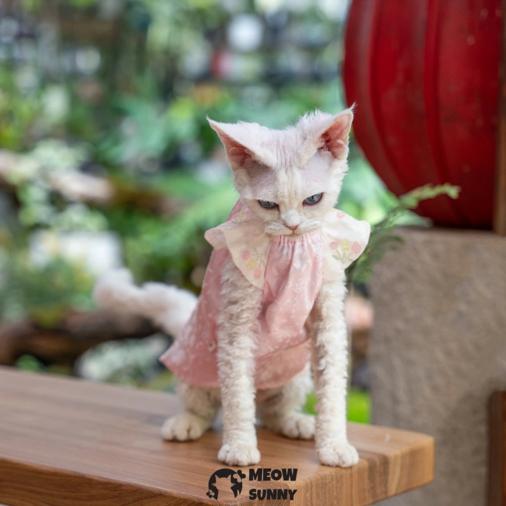 Sphynx Cat Pink Sleeveless Bow Dress for summer XS-XXL 1-14Lbs
