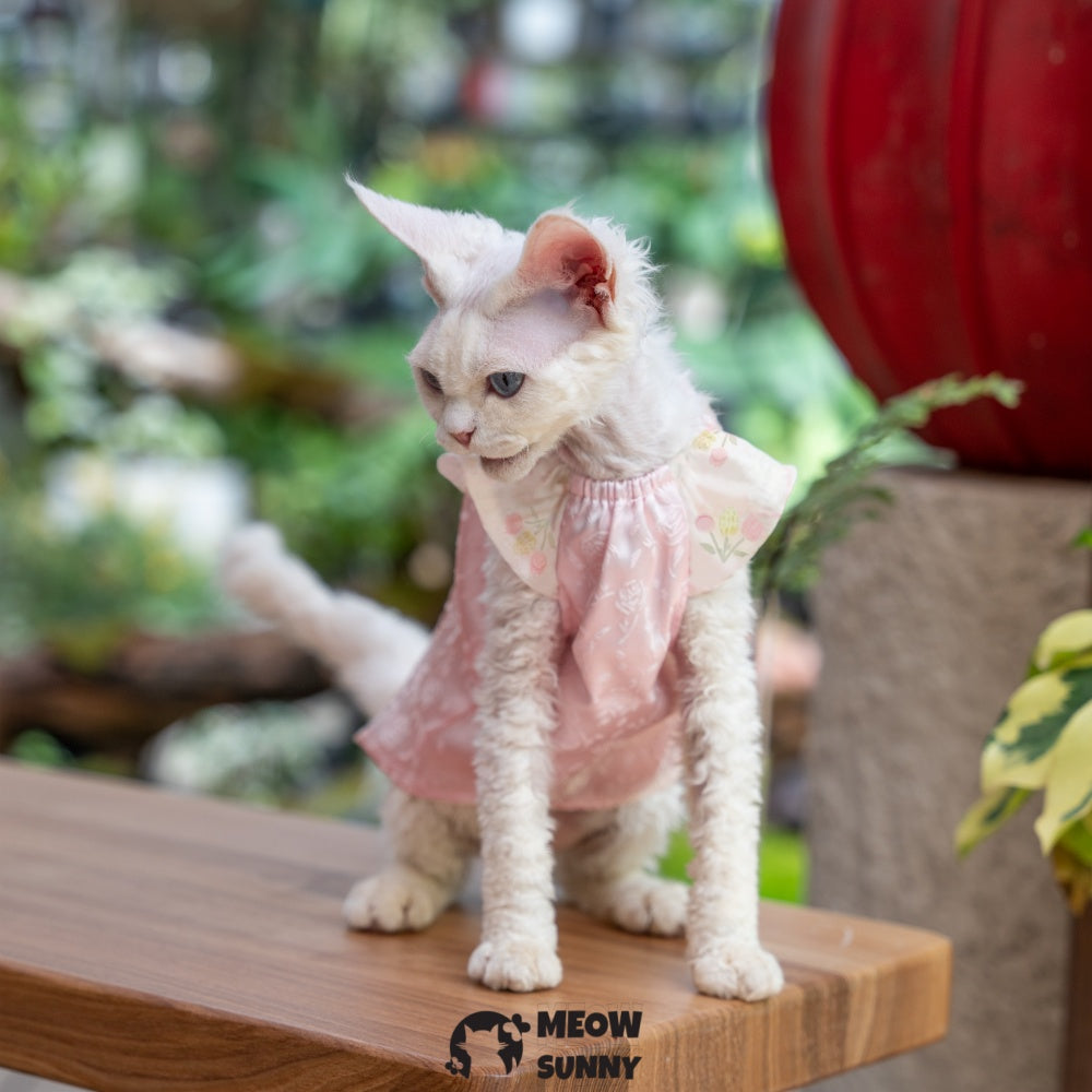 Sphynx Cat Pink Sleeveless Bow Dress for summer XS-XXL 1-14Lbs