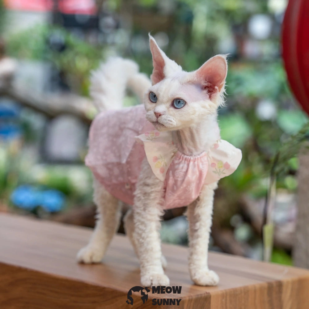 Sphynx Cat Pink Sleeveless Bow Dress for summer XS-XXL 1-14Lbs