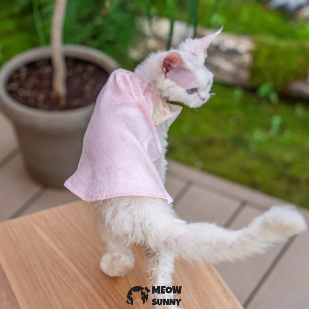 Sphynx Cat Pink Sleeveless Bow Dress for summer XS-XXL 1-14Lbs