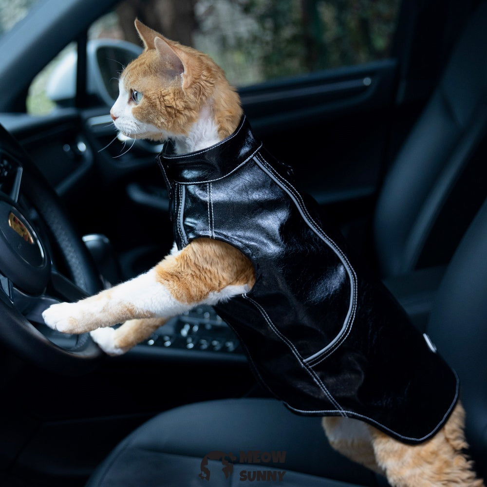 Sphynx Cat Winter Clothes, Elastic Leather Jacket,Outfit Coat