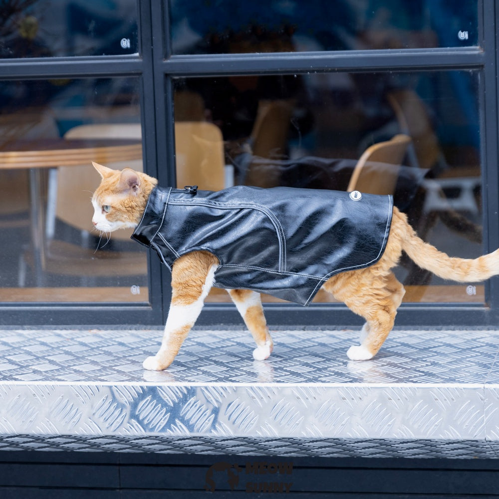 Sphynx Cat Winter Clothes, Elastic Leather Jacket,Outfit Coat
