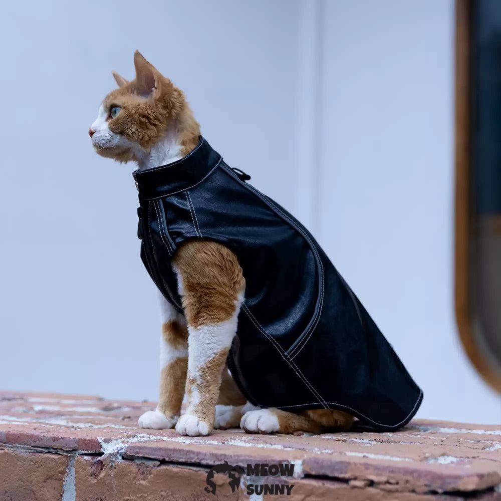 Sphynx Cat Winter Clothes, Elastic Leather Jacket,Outfit Coat