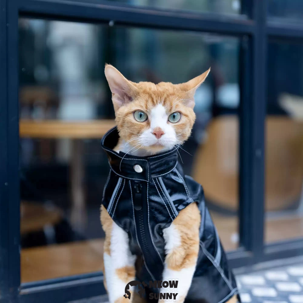Sphynx Cat Winter Clothes, Elastic Leather Jacket,Outfit Coat