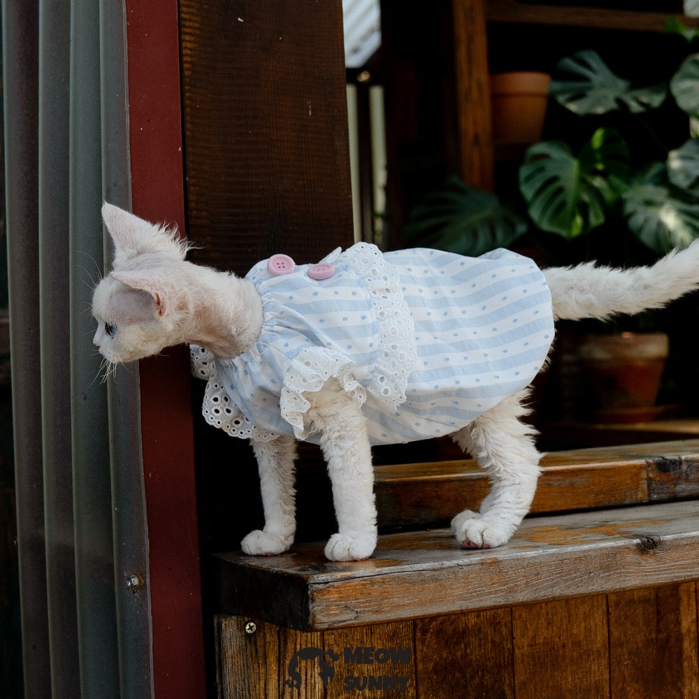 Sphynx Hairless Cat Breathable Spring Autumn Cotton Blue Dress