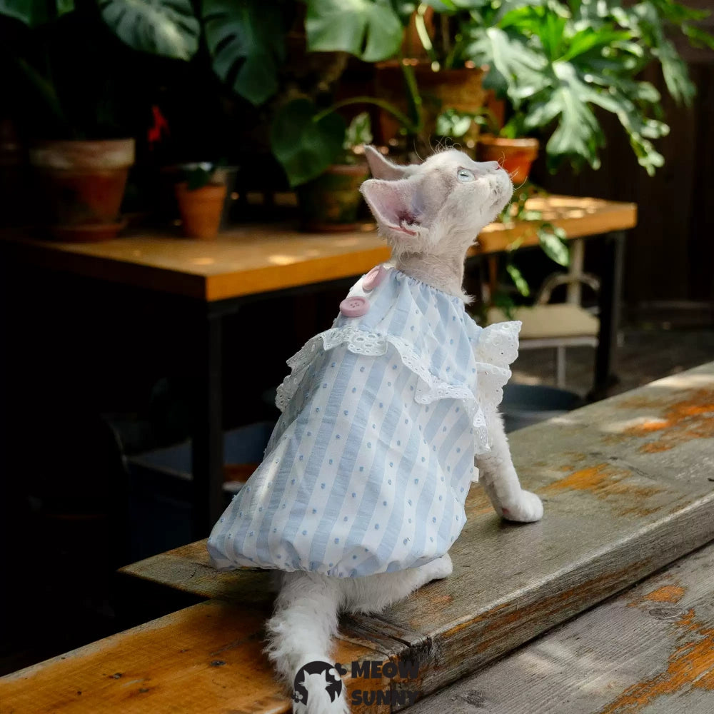 Sphynx Hairless Cat Breathable Spring Autumn Cotton Blue Dress