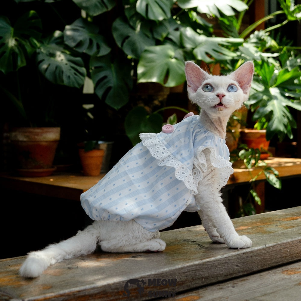 Sphynx Hairless Cat Breathable Spring Autumn Cotton Blue Dress