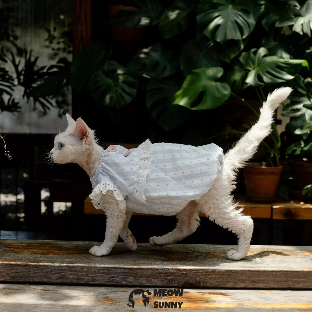 Sphynx Hairless Cat Breathable Spring Autumn Cotton Blue Dress