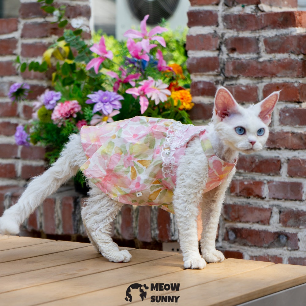 Sphynx Hairless Cat Breathable Spring Autumn Cotton Pink Dress