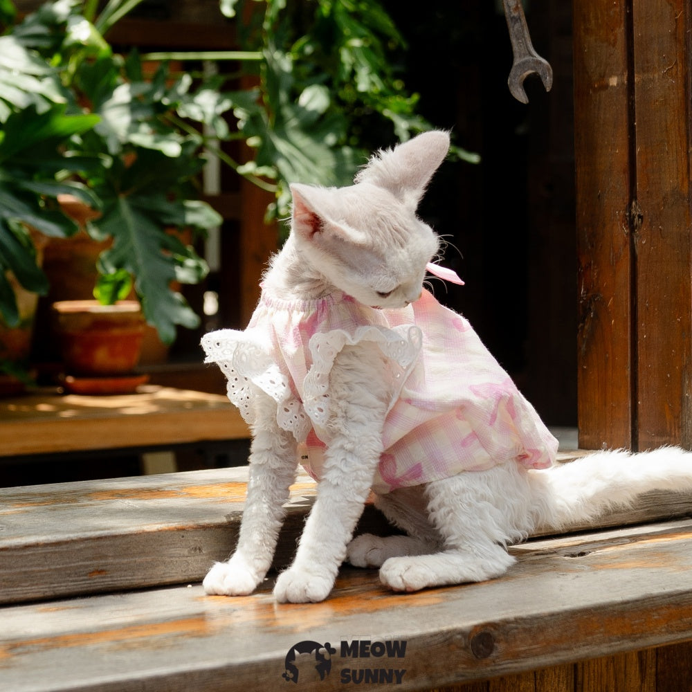 Sphynx Hairless Cat Breathable Spring Autumn Cotton Pink Dress outfits