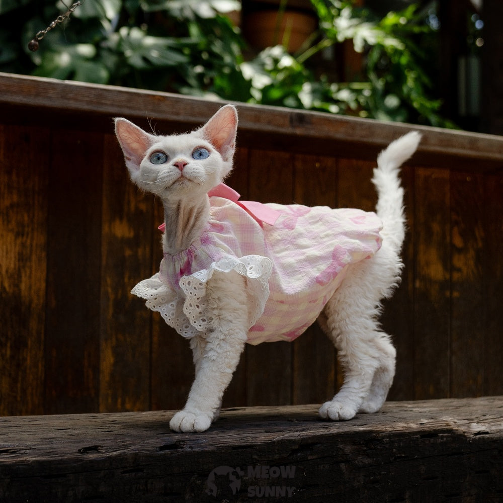 Sphynx Hairless Cat Breathable Spring Autumn Cotton Pink Dress outfits