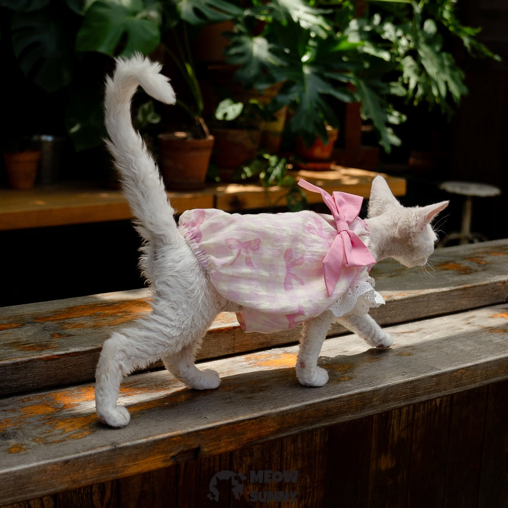 Sphynx Hairless Cat Breathable Spring Autumn Cotton Pink Dress outfits