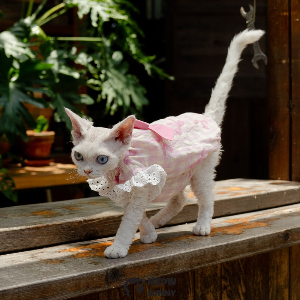 Sphynx Hairless Cat Breathable Spring Autumn Cotton Pink Dress outfits