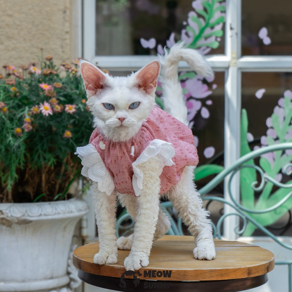 Sphynx Hairless Cat Breathable Spring Autumn Red Dress outfits