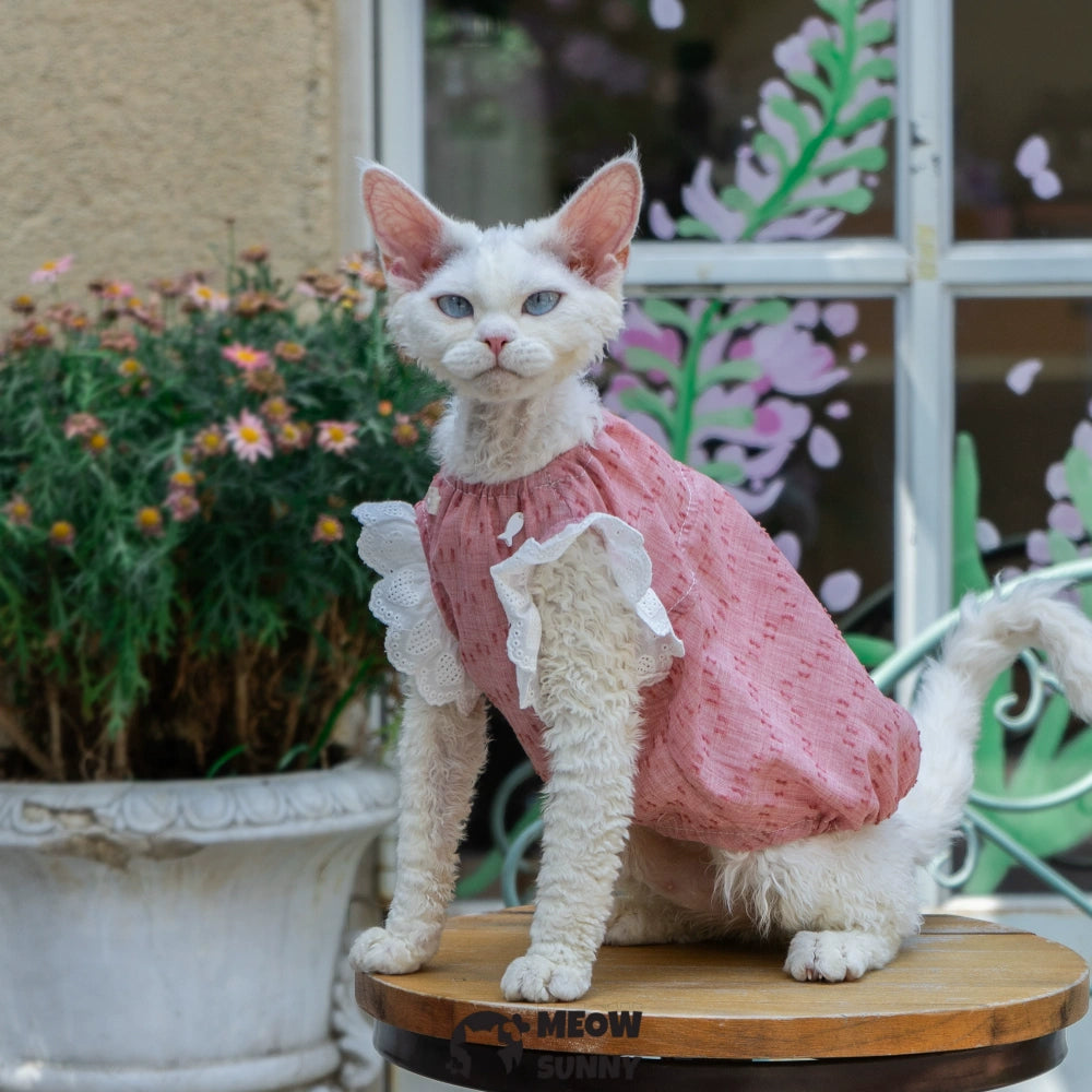 Sphynx Hairless Cat Breathable Spring Autumn Red Dress outfits