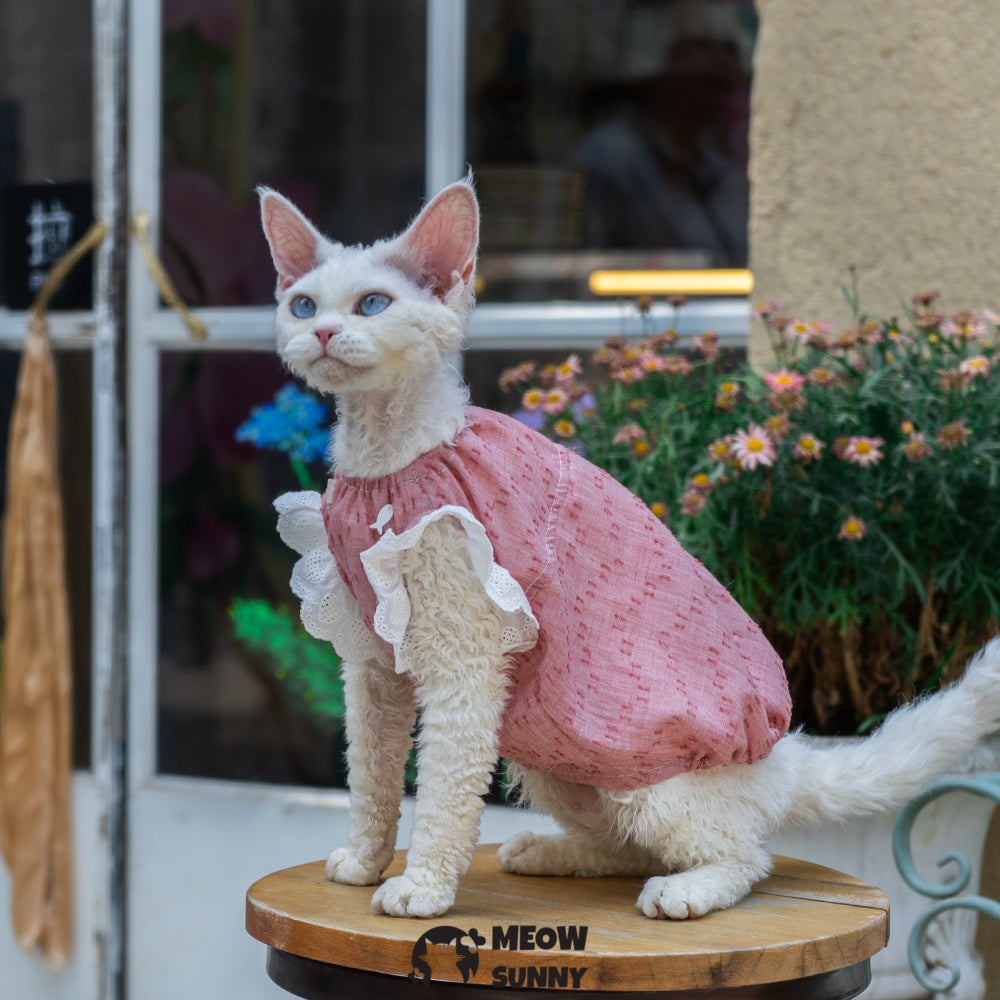 Sphynx Hairless Cat Breathable Spring Autumn Red Dress outfits