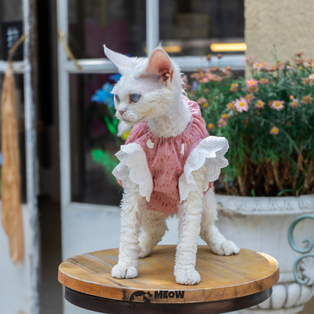 Sphynx Hairless Cat Breathable Spring Autumn Red Dress outfits
