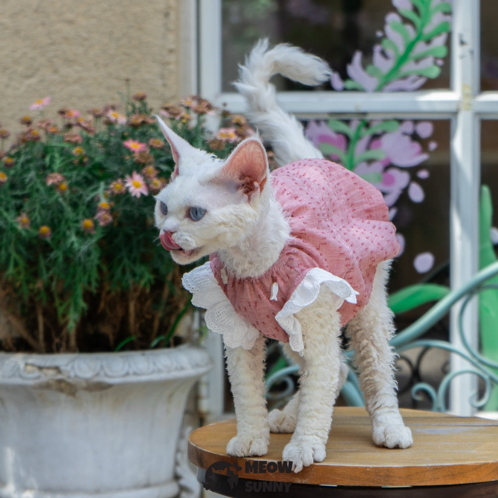 Sphynx Hairless Cat Breathable Spring Autumn Red Dress outfits