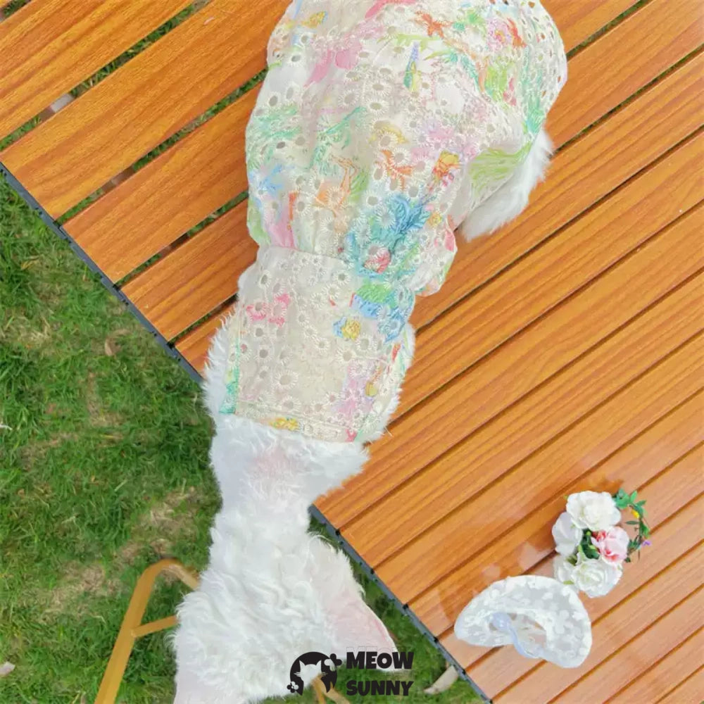 Sphynx Hairless Cat Breathable Spring Autumn Cotton Dress