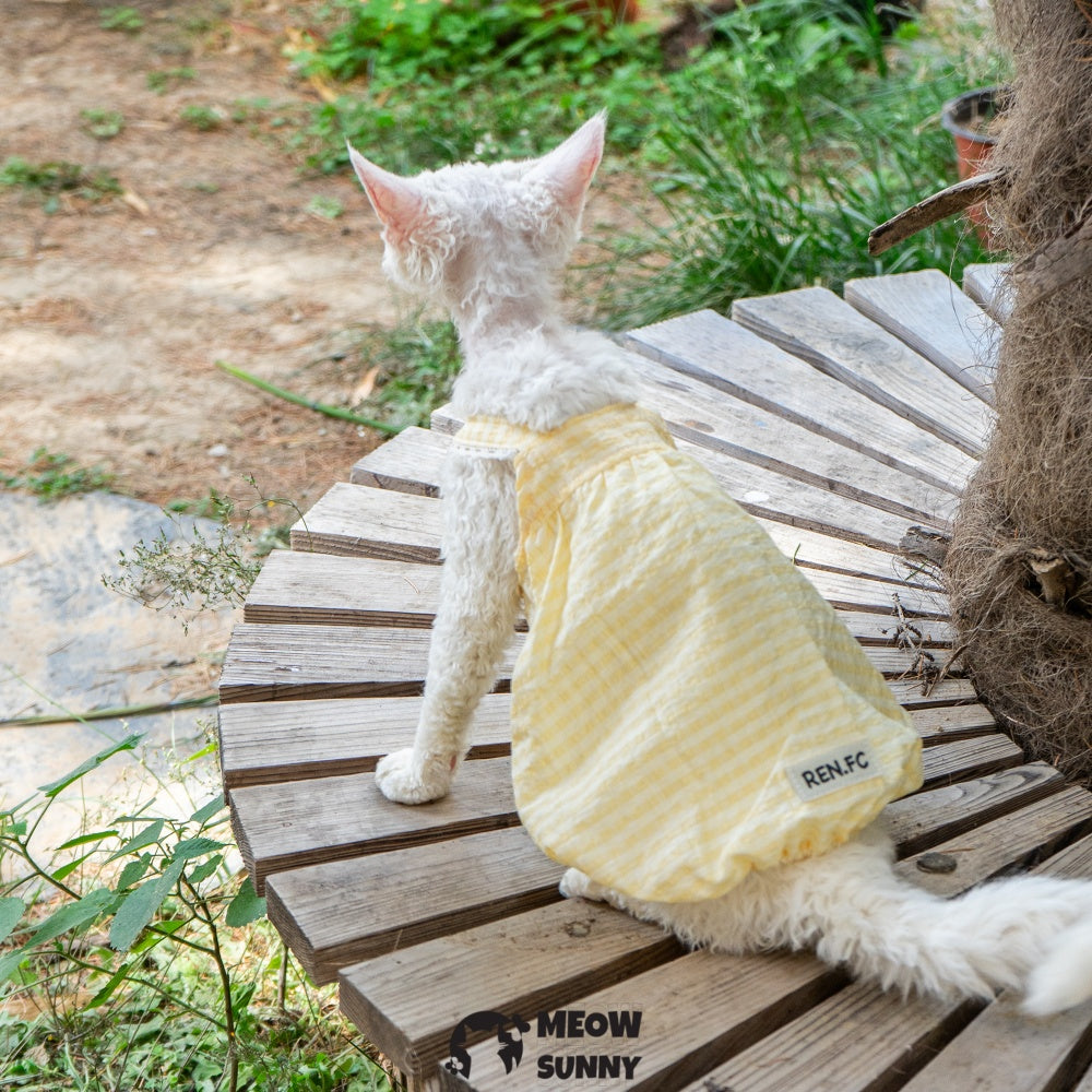 Sphynx Hairless Cat Breathable Spring Autumn Cotton Yellow Dress outfits