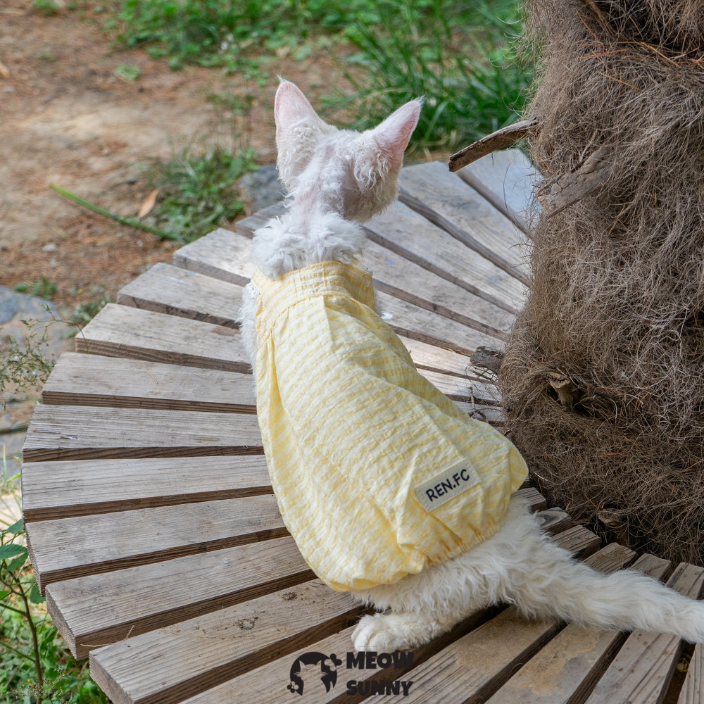 Sphynx Hairless Cat Breathable Spring Autumn Cotton Yellow Dress outfits
