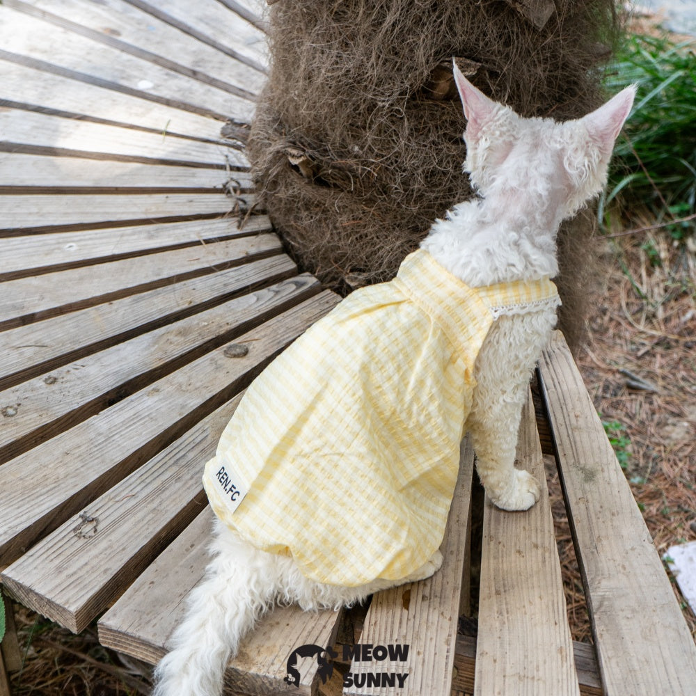 Sphynx Hairless Cat Breathable Spring Autumn Cotton Yellow Dress outfits