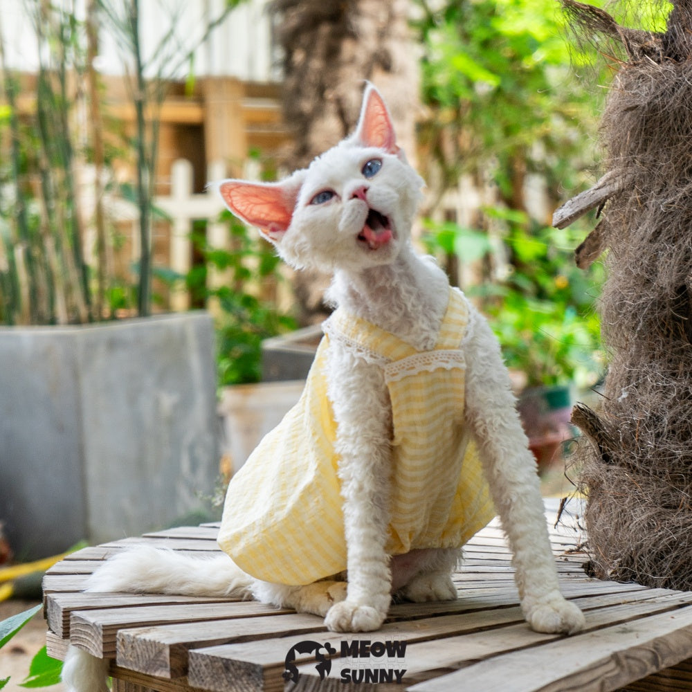 Sphynx Hairless Cat Breathable Spring Autumn Cotton Yellow Dress outfits