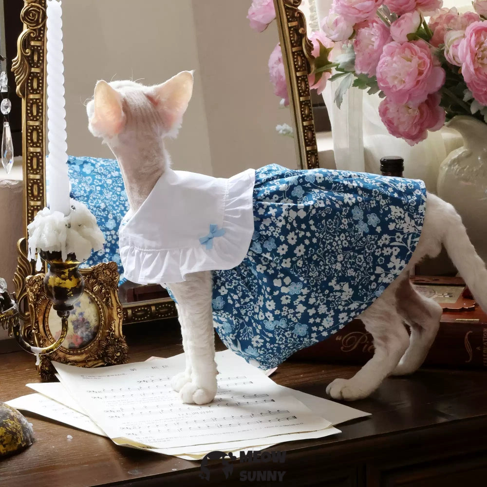 Sphynx Hairless Cat Clothes Breathable Floral Print Blue Dress