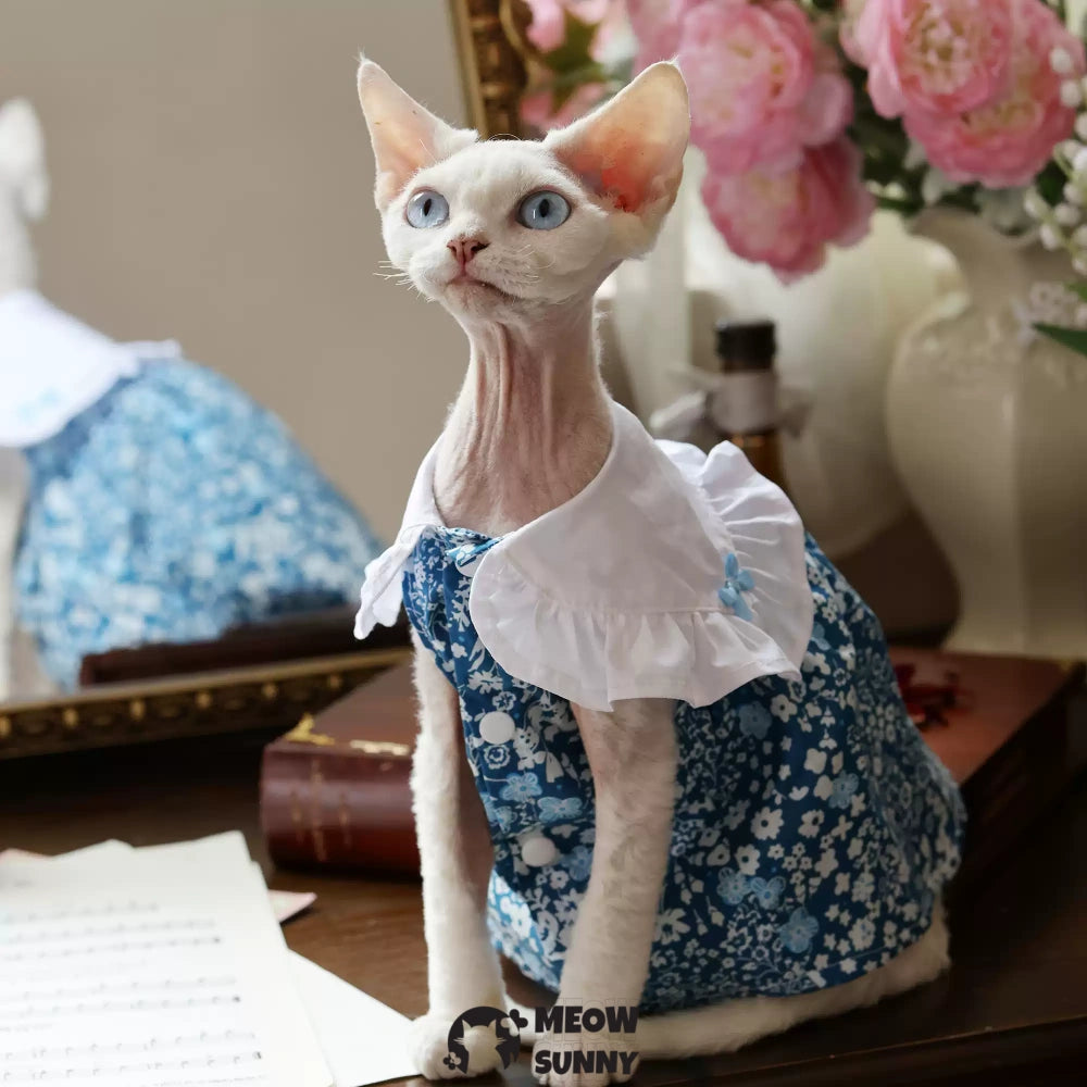 Sphynx Hairless Cat Clothes Breathable Floral Print Blue Dress