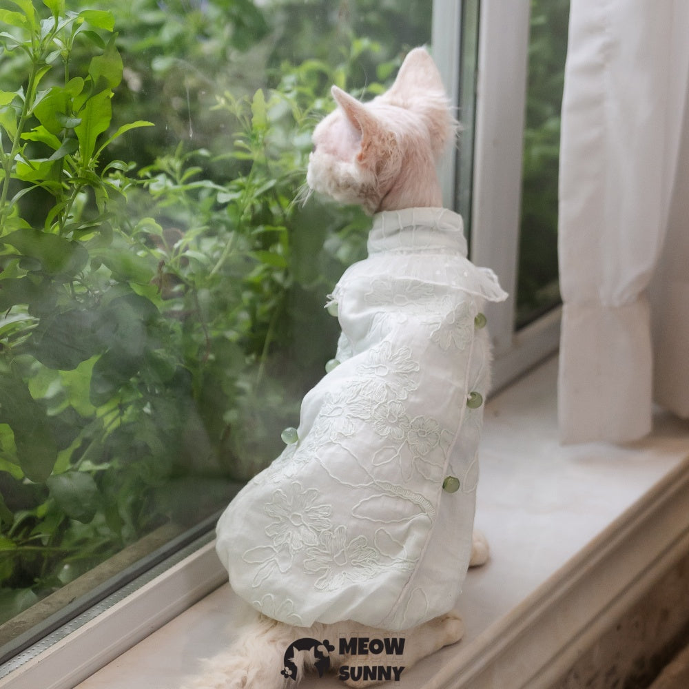 Sphynx Hairless Cat Clothes Cute Breathable lace mint green Dress
