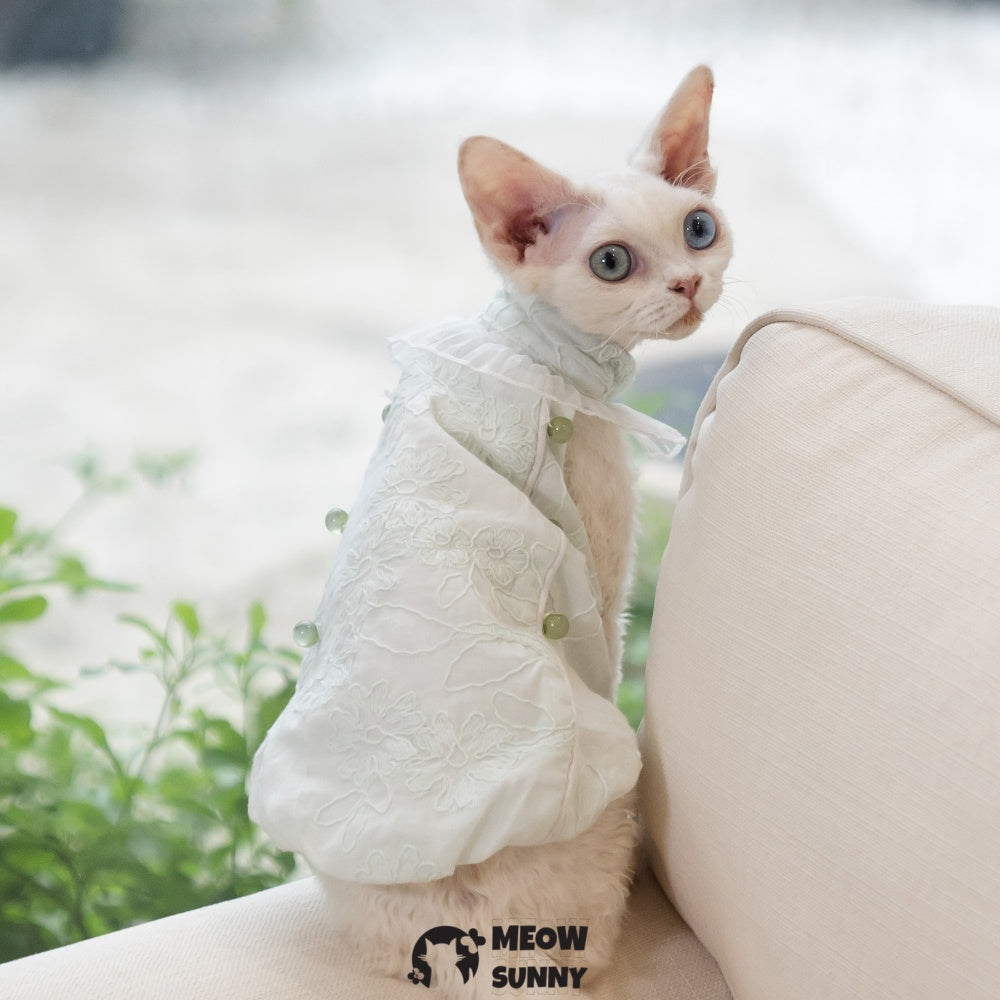 Sphynx Hairless Cat Clothes Cute Breathable lace mint green Dress