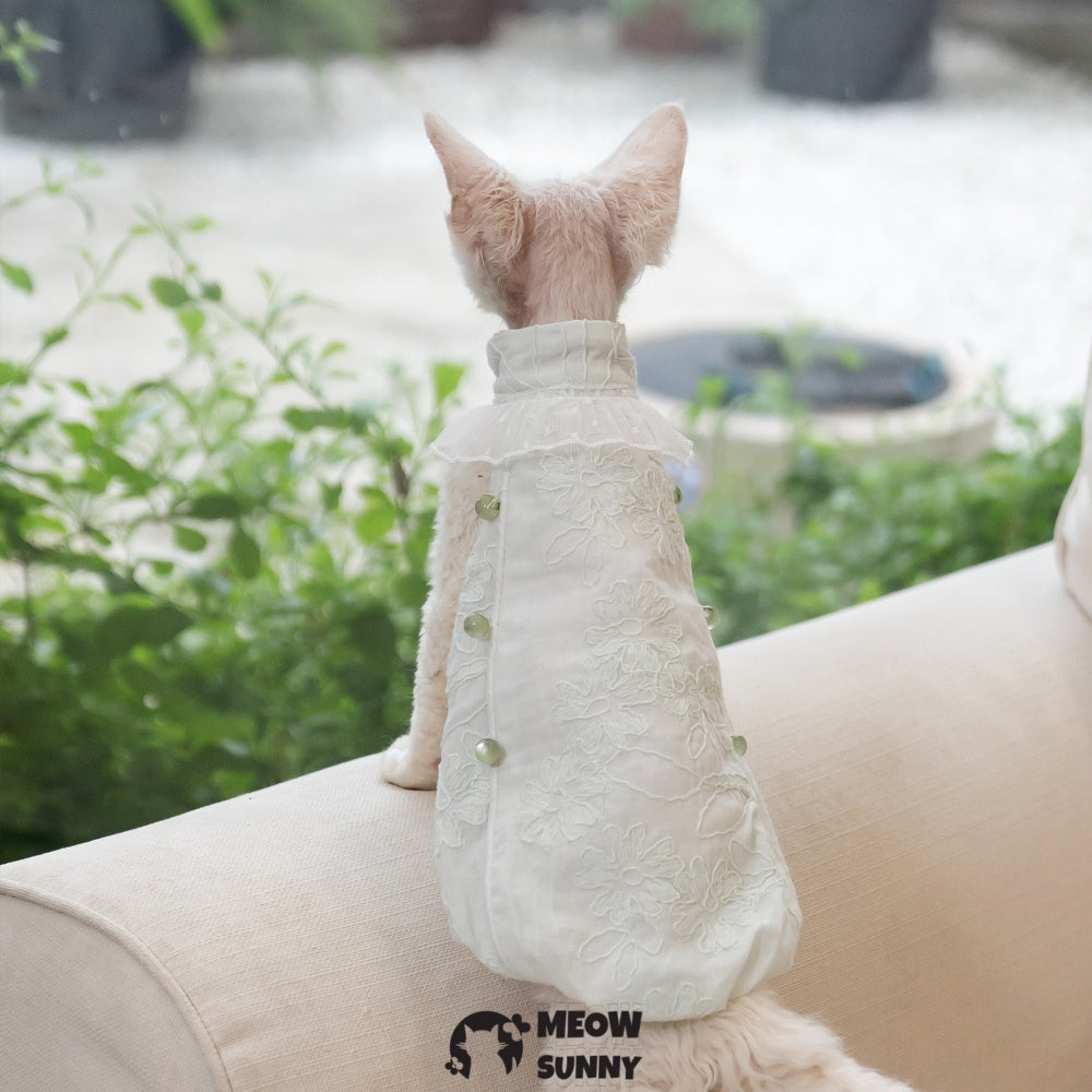 Sphynx Hairless Cat Clothes Cute Breathable lace mint green Dress