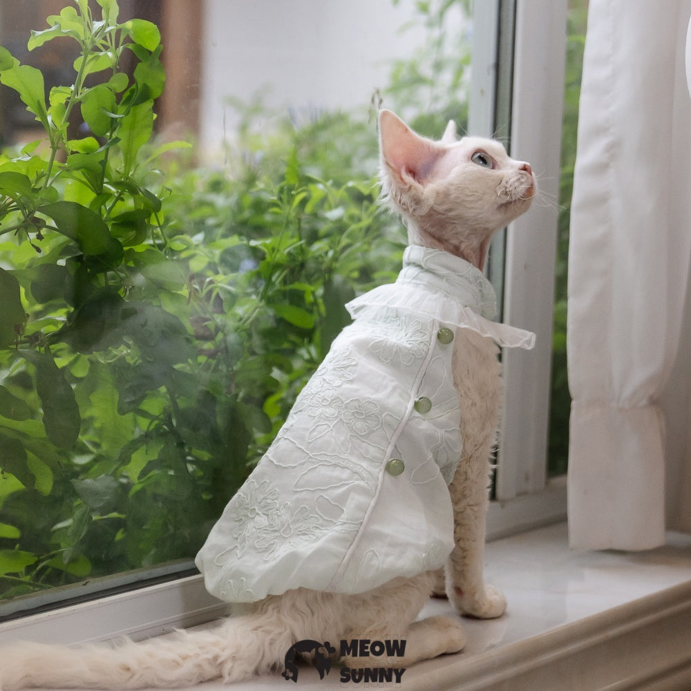 Sphynx Hairless Cat Clothes Cute Breathable lace mint green Dress