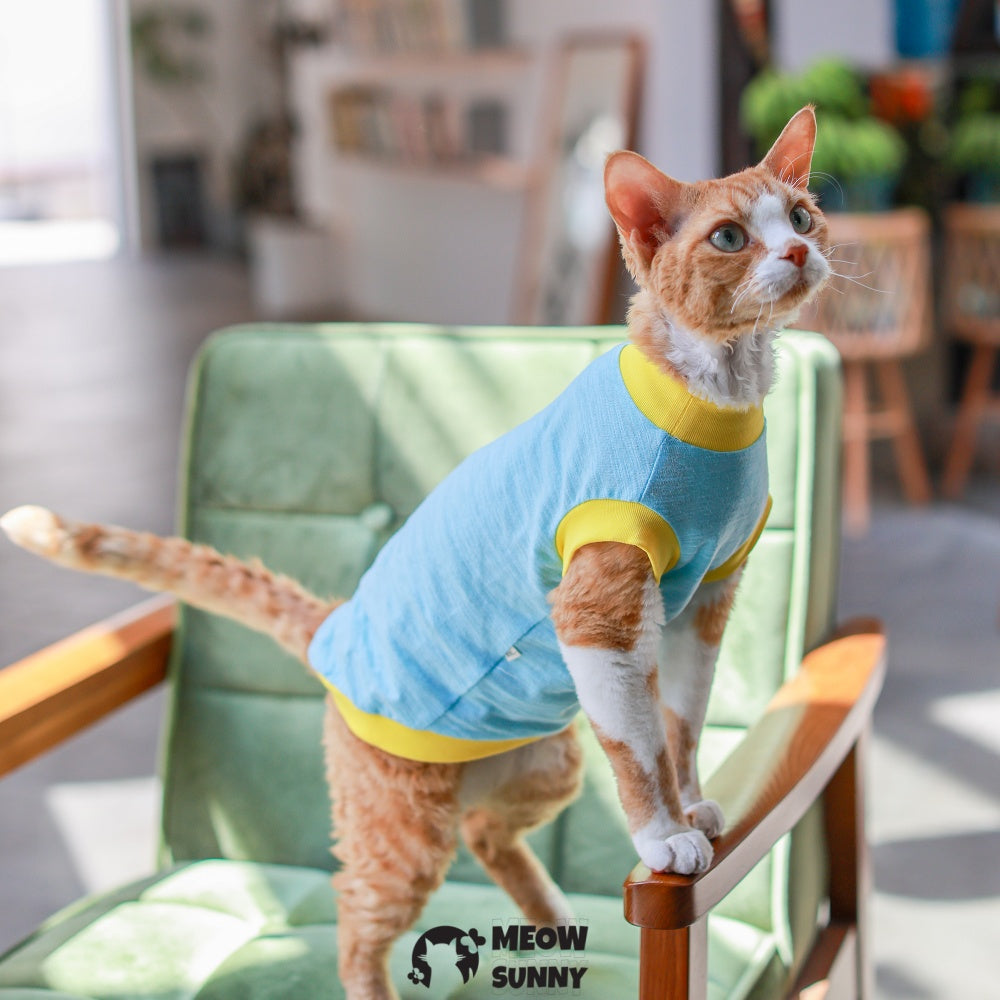 Sphynx Hairless Cat Clothes Summer Cotton cool quick-drying Blue T-Shirts