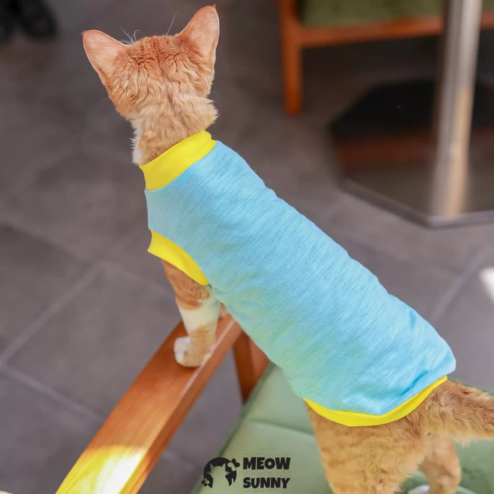 Sphynx Hairless Cat Clothes Summer Cotton cool quick-drying Blue T-Shirts