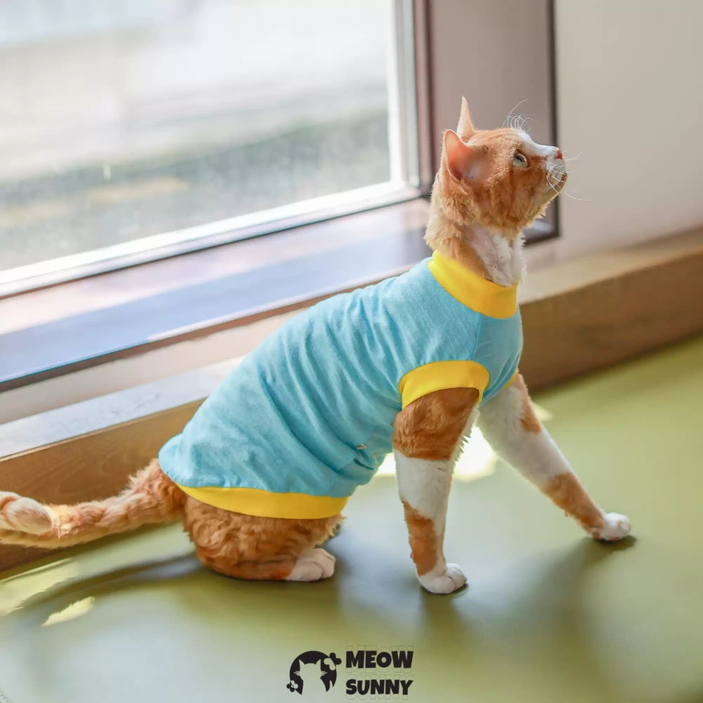 Sphynx Hairless Cat Clothes Summer Cotton cool quick-drying Blue T-Shirts