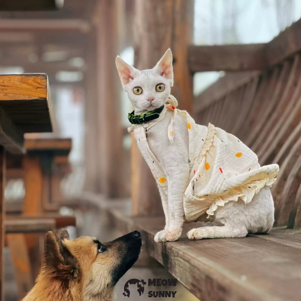 Sphynx Hairless Cat Colorful Polka Dot Breathable Lightweight Dress