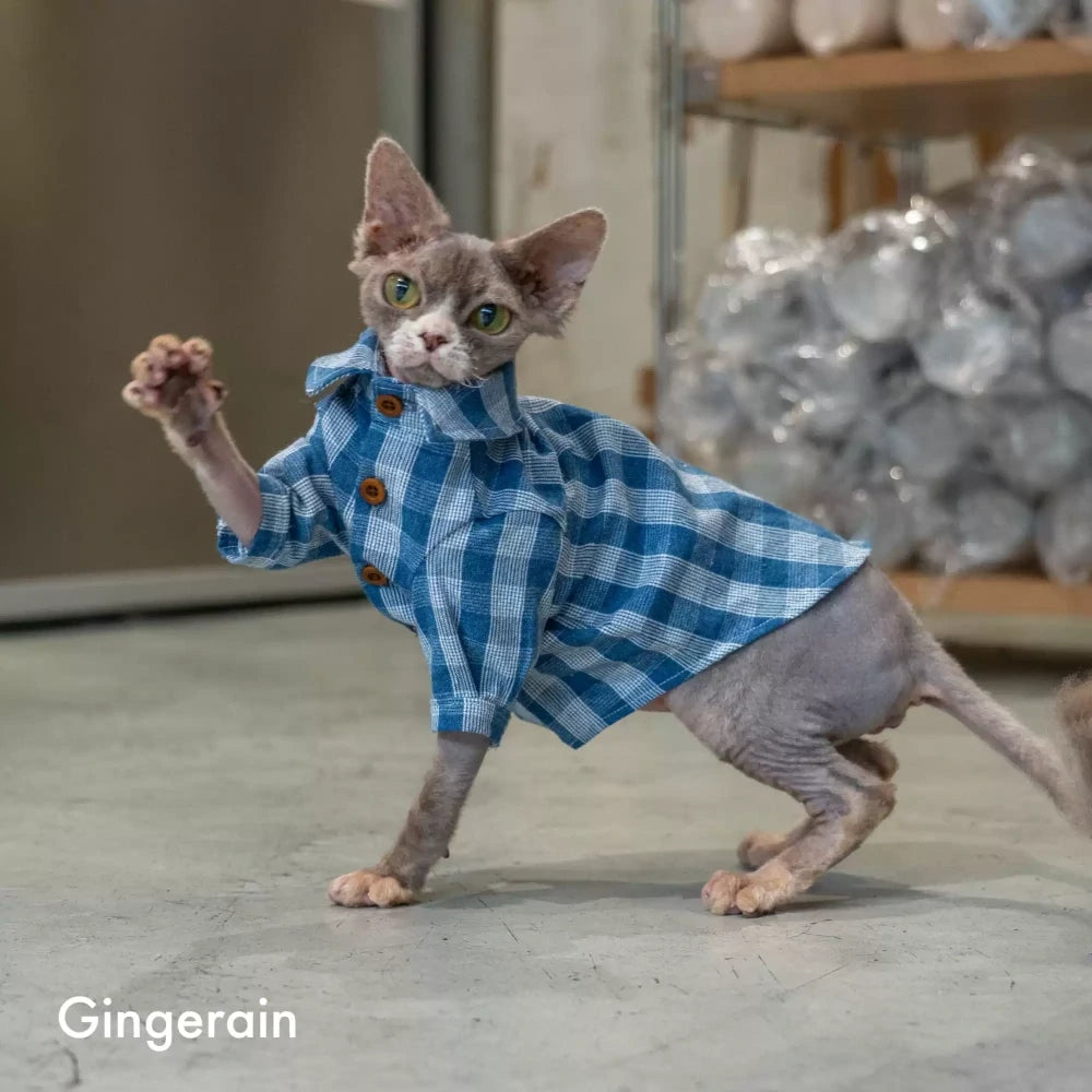 Sphynx Hairless Cat Spring and Summer Blue Plaid Shirt