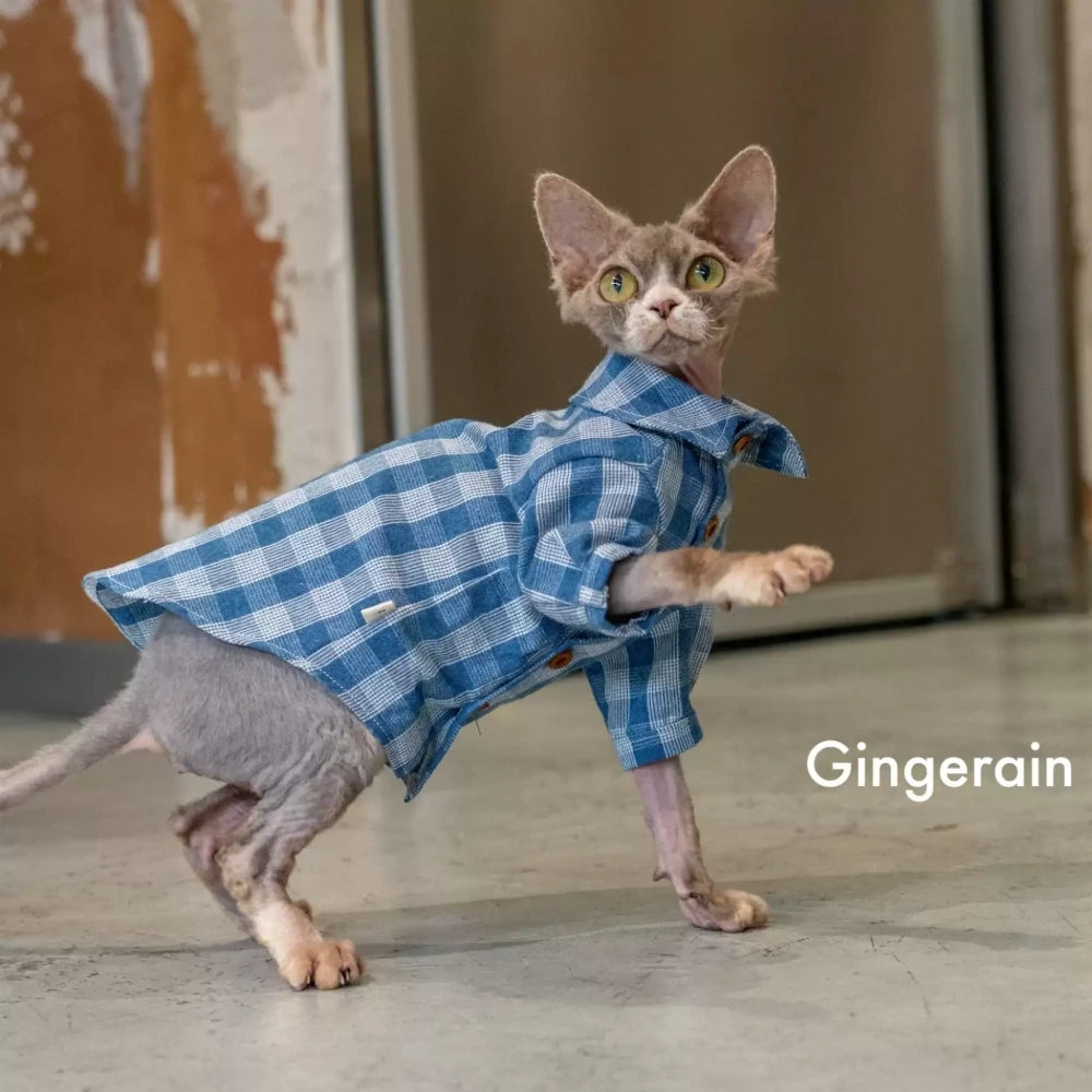 Sphynx Hairless Cat Spring and Summer Blue Plaid Shirt