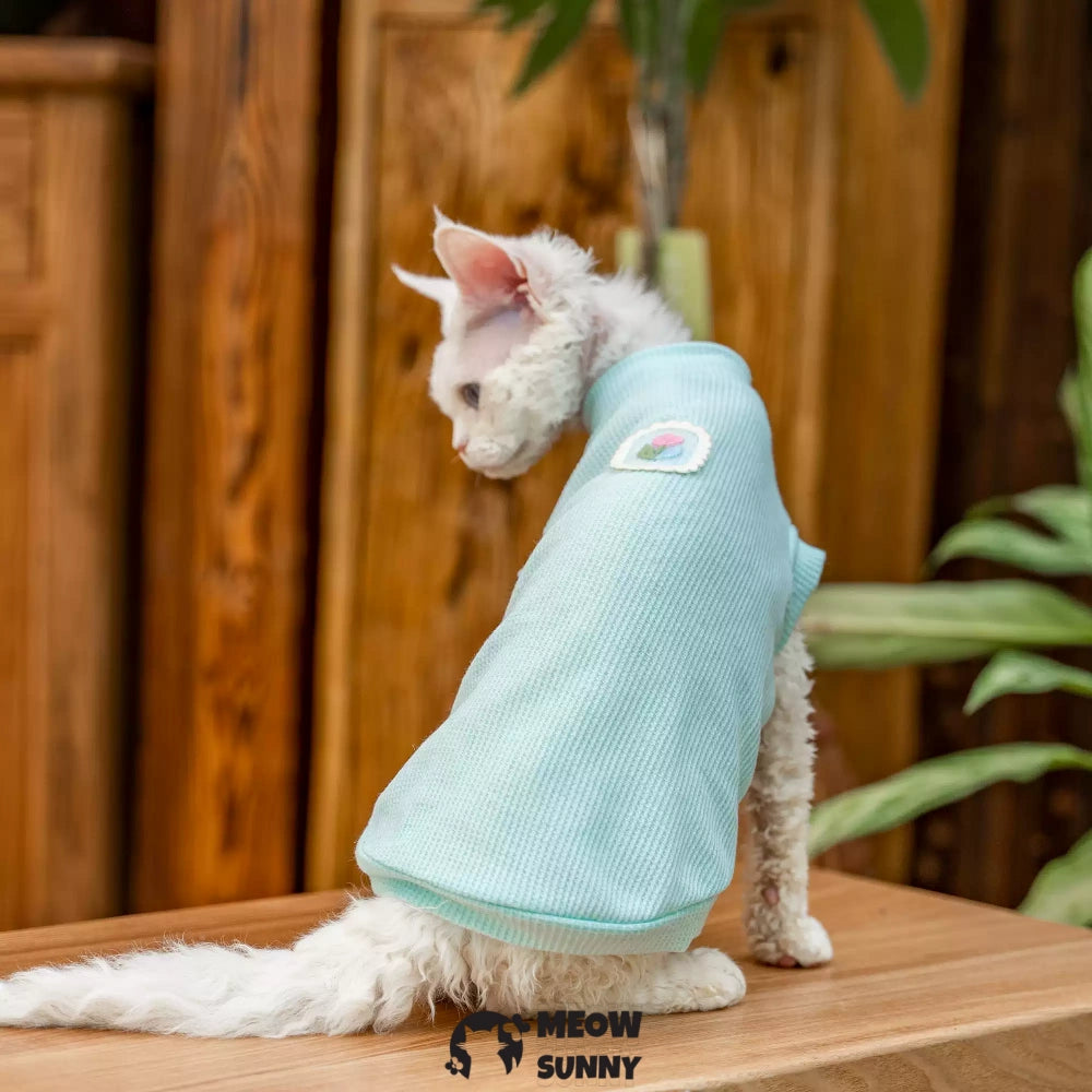 Sphynx Hairless Cat Summer Cotton cool quick-drying Blue T-Shirts