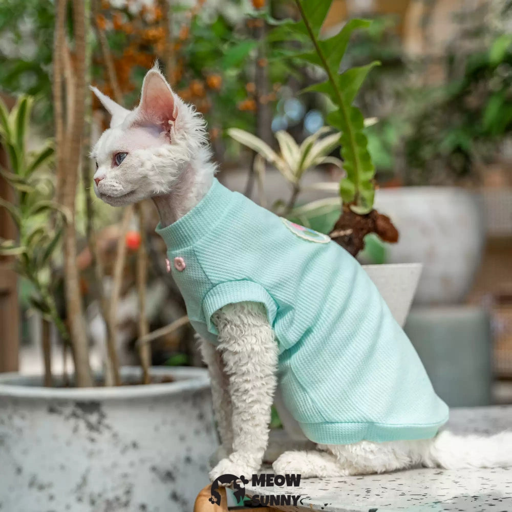 Sphynx Hairless Cat Summer Cotton cool quick-drying Blue T-Shirts