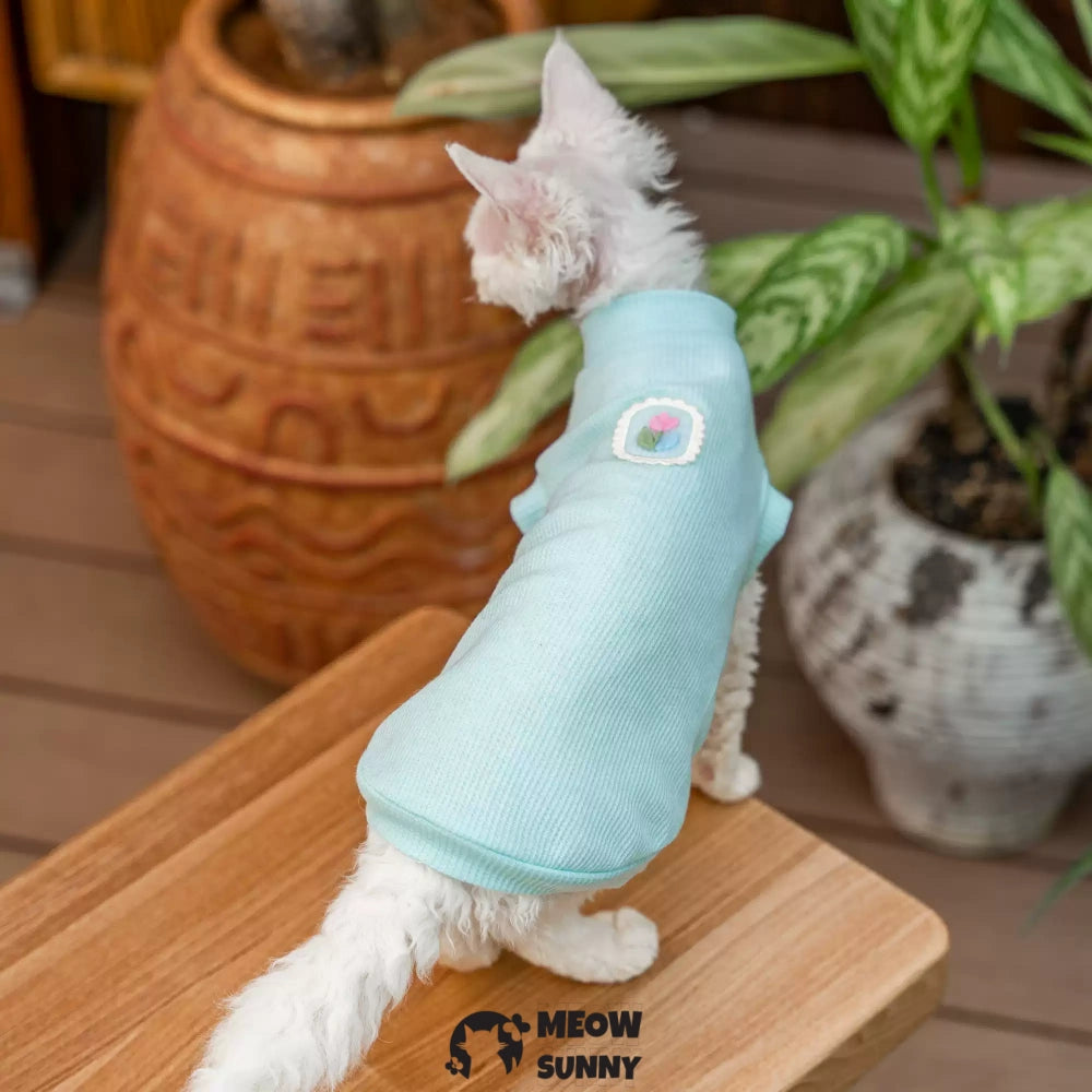 Sphynx Hairless Cat Summer Cotton cool quick-drying Blue T-Shirts