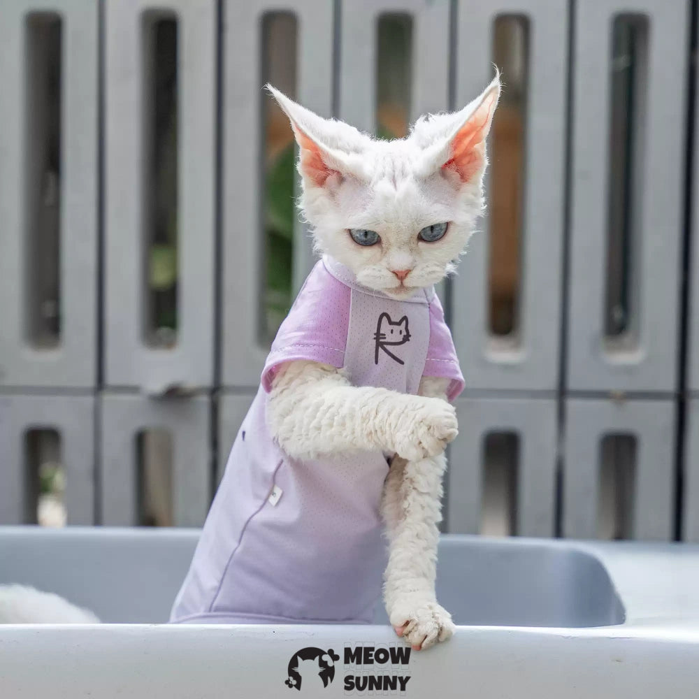 Sphynx Hairless Cat Summer Cotton cool quick-drying T-Shirts