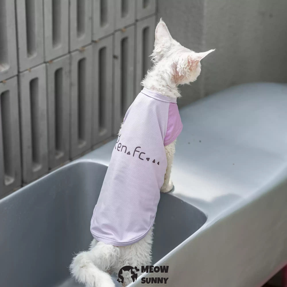 Sphynx Hairless Cat Summer Cotton cool quick-drying T-Shirts