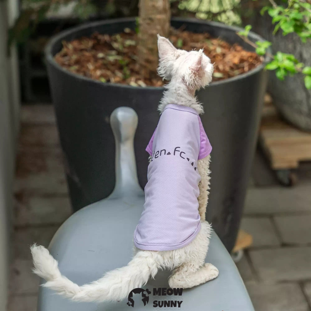 Sphynx Hairless Cat Summer Cotton cool quick-drying T-Shirts