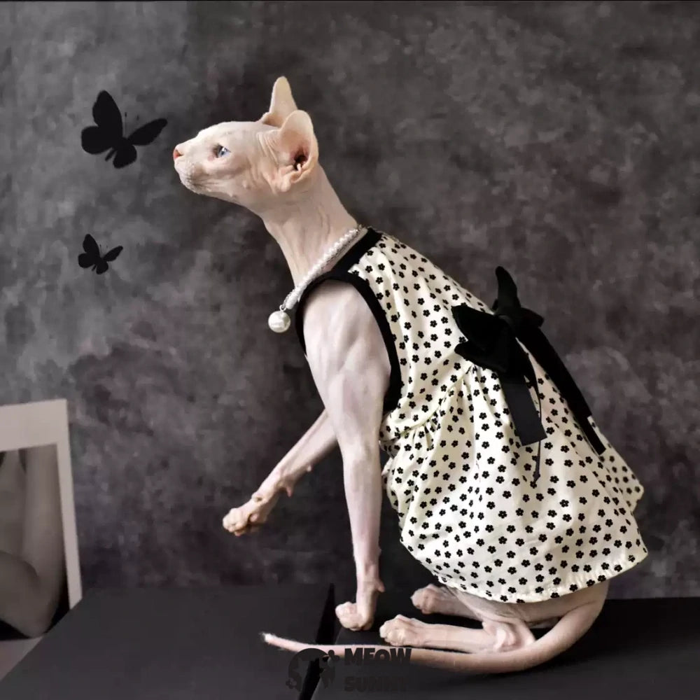 Sphynx Hairless Cat Summer Fashion Black Spotted Bowknot Dress