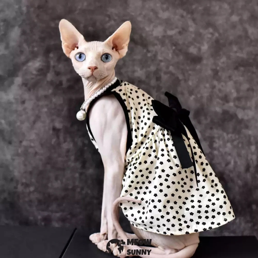 Sphynx Hairless Cat Summer Fashion Black Spotted Bowknot Dress