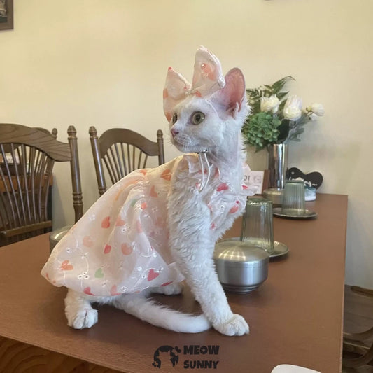Sphynx Hairless Cat Summer Light and Cool Heart Pattern Dress