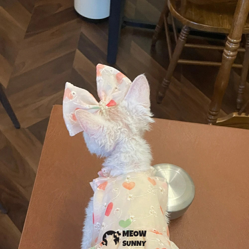Sphynx Hairless Cat Summer Light and Cool Heart Pattern Dress